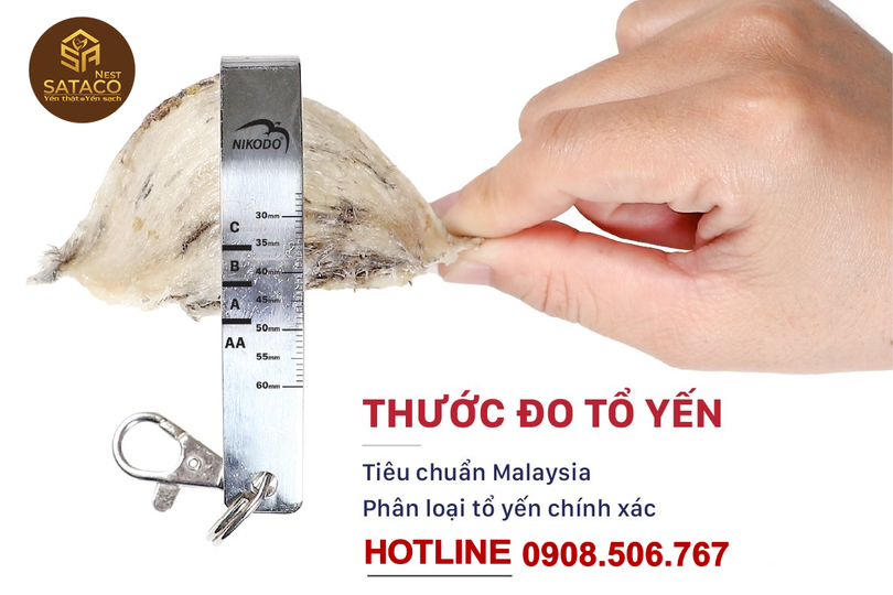 thuoc_do_to_yen